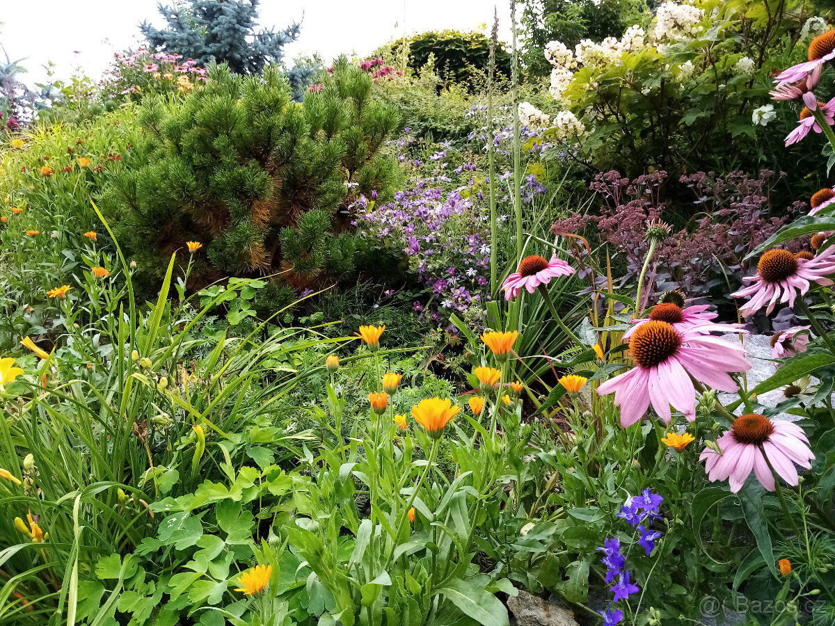 Zahradnické služby - 4