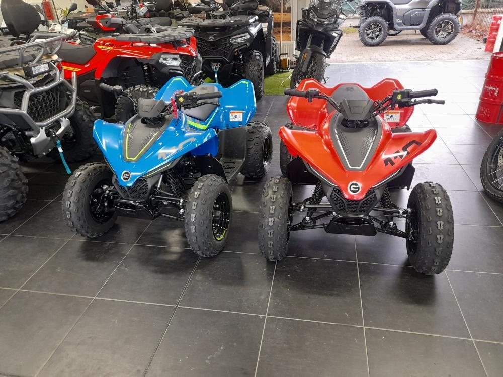 CFMOTO Gladiator X110 LE - 4