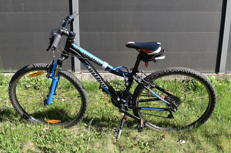 Author pro chlapce - 4