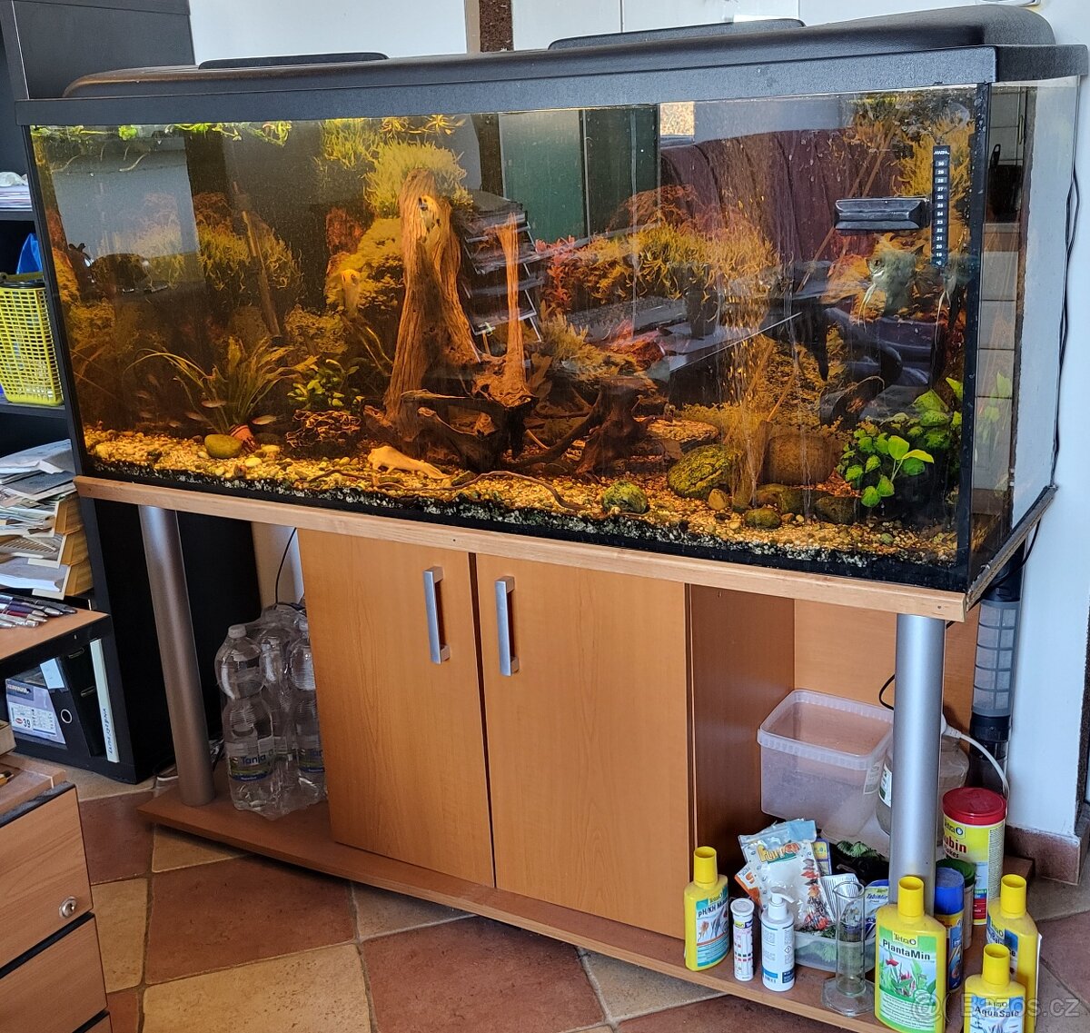 Prodám akvárium 450L se skříňkou i rybičkami - stěhování - 4