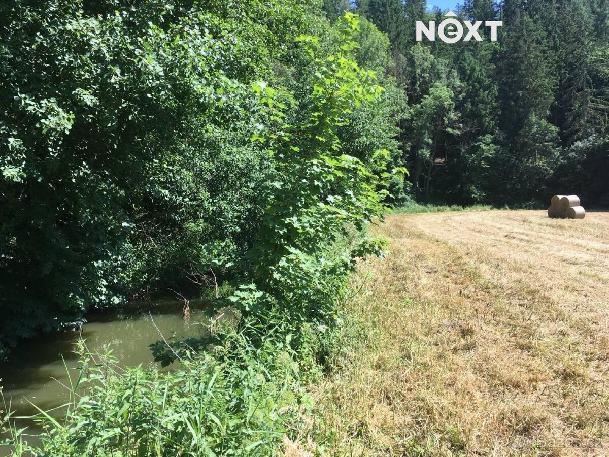 Prodej pozemek Louky, 6060㎡ - 4