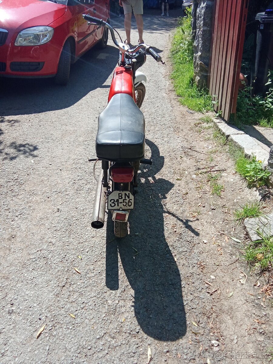 Prodám mustanga - 4