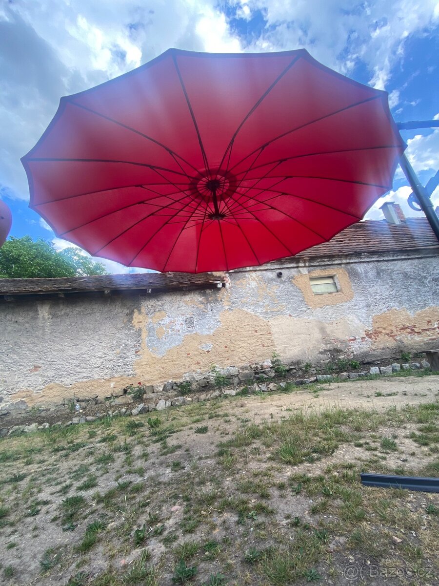 Slunečnik - 4