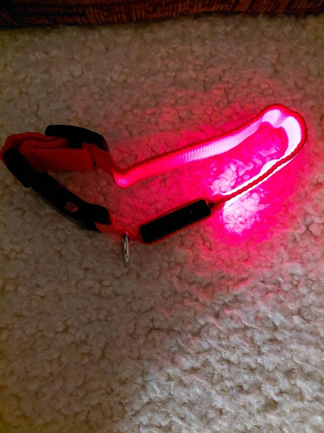 Prodám LED obojek pro psa - 4
