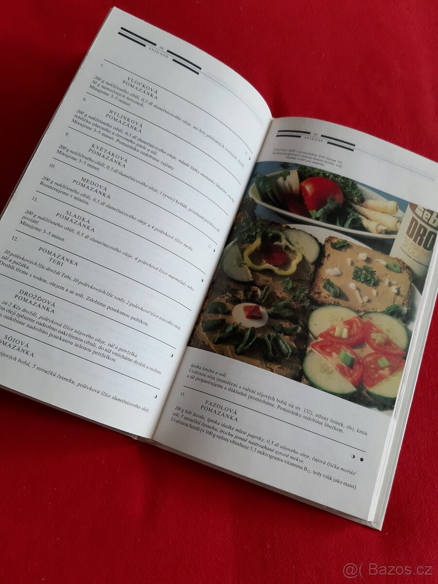 Vegetariánská kuchařka, 300 receptů - 4