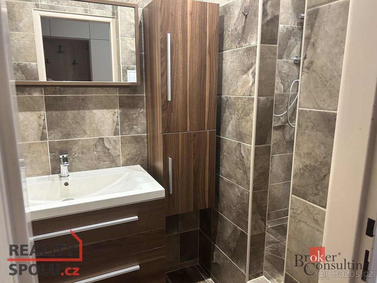 Pronájem, byty/2+1, 54 m2, Rychtaříkova, Východní Předměstí, - 4