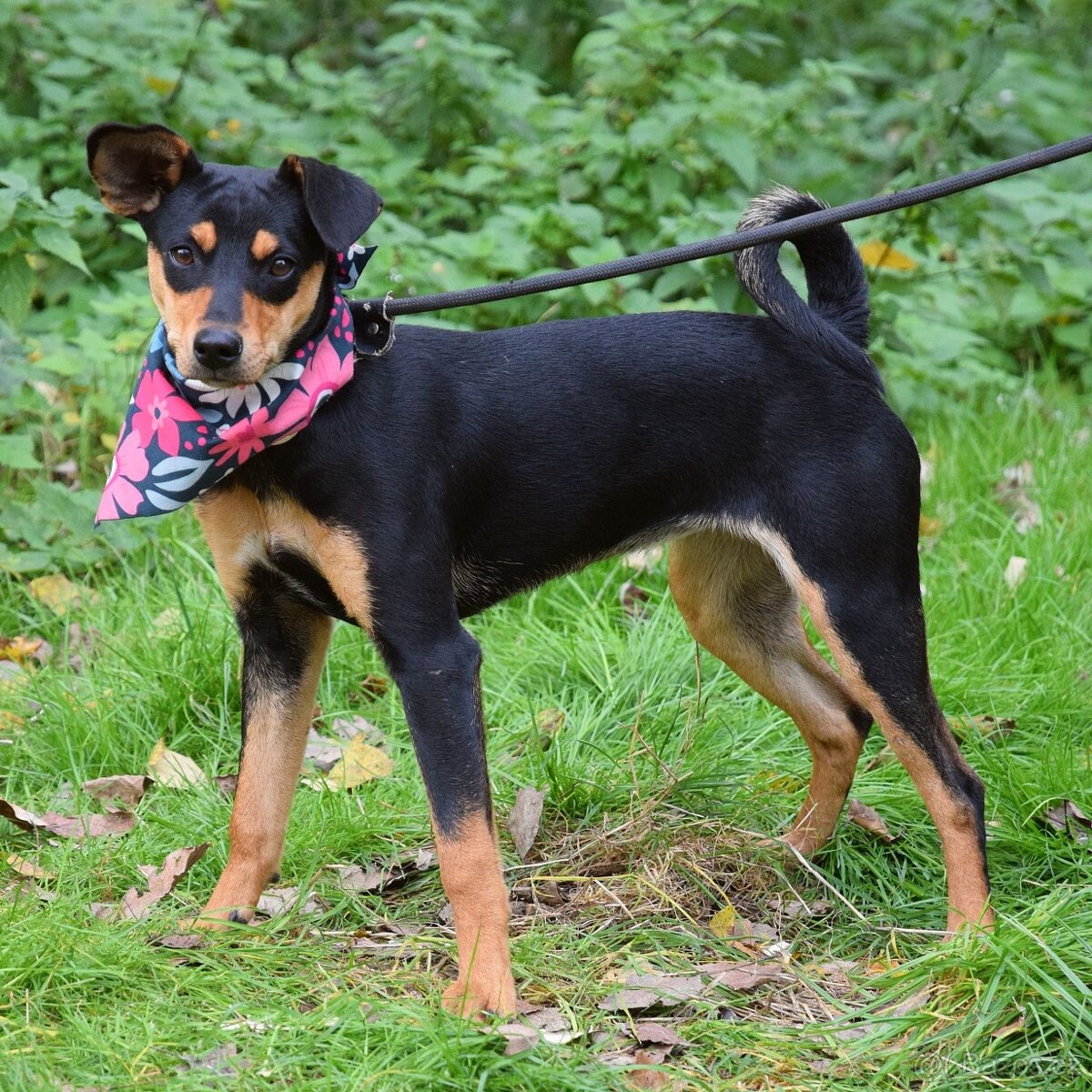 Vitalina rezervace - 4