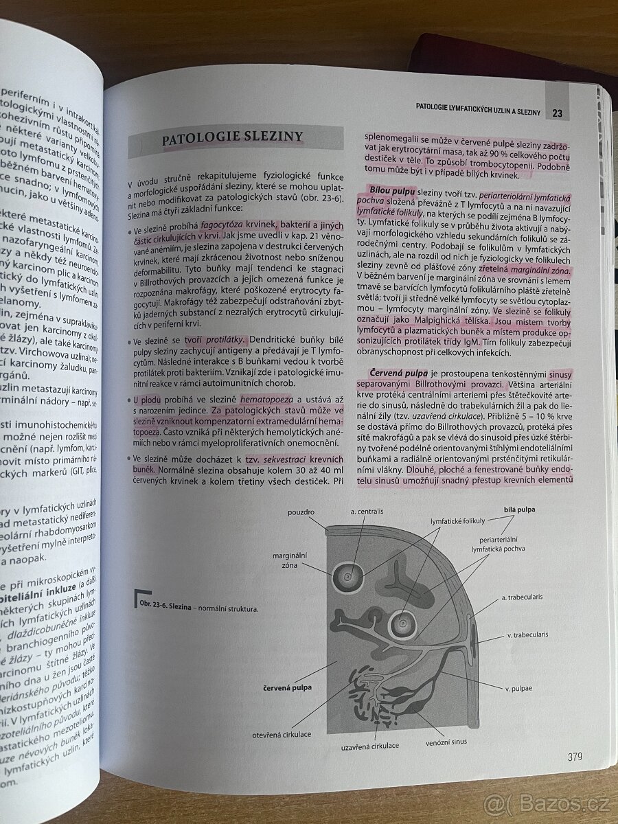 Zámečník patologie 1-3 - 4