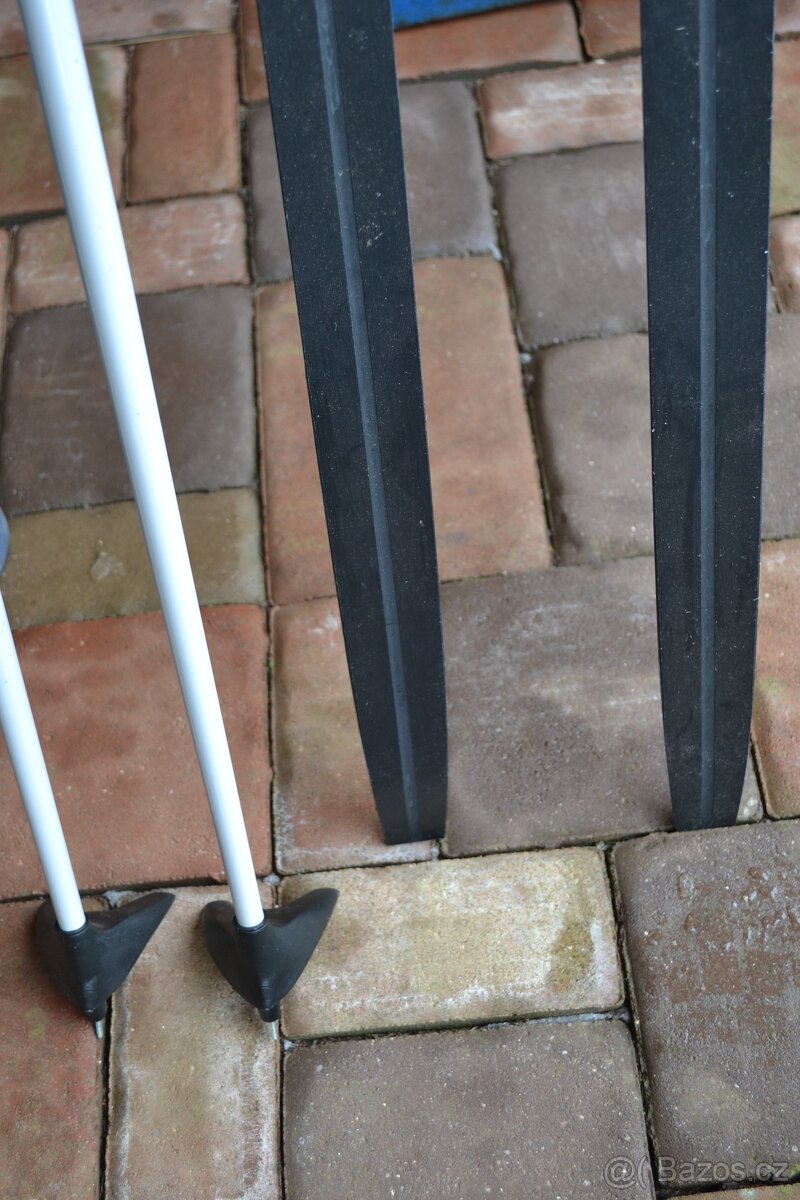 běžky 170 cm se šupinami boty EU 39 hole 150cm - 4