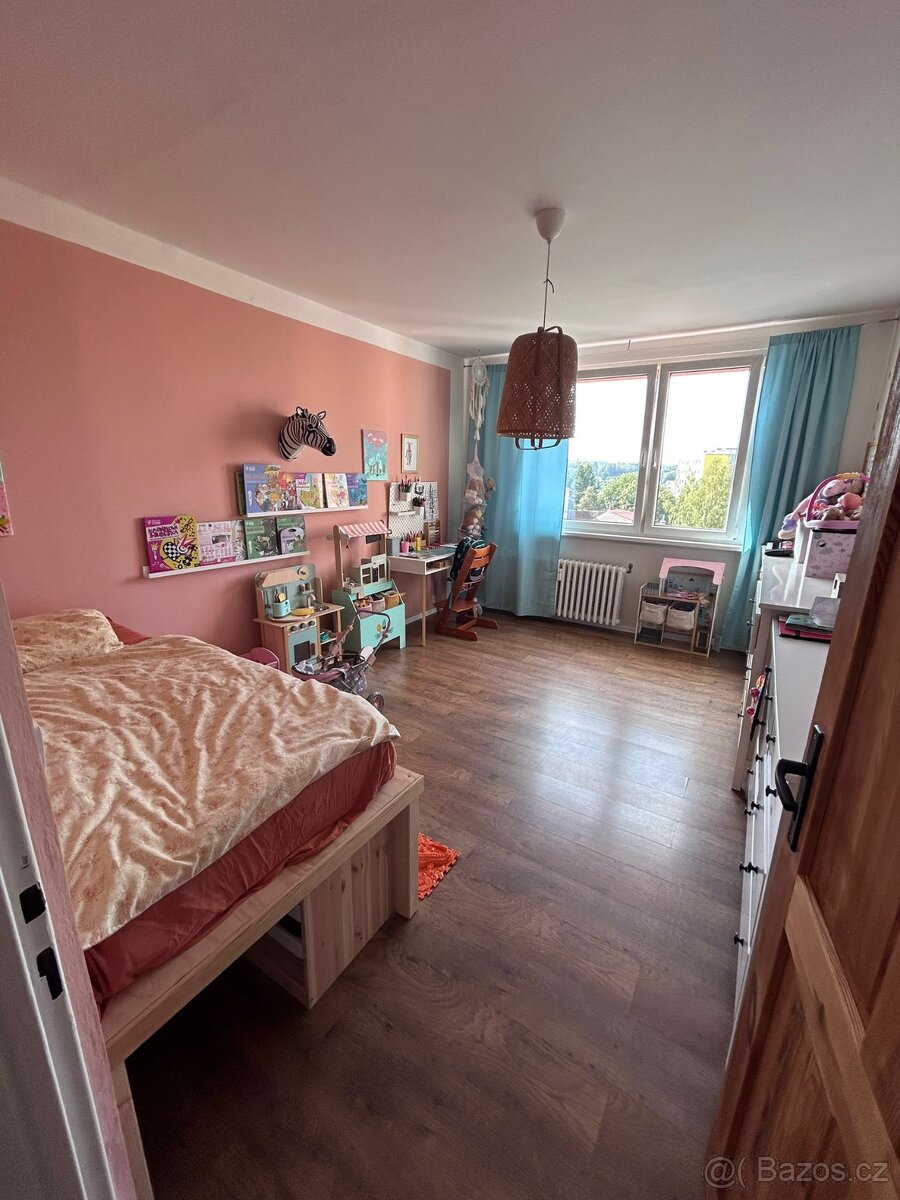 Prodám panelákový družstevní byt 4 + 1 - 4