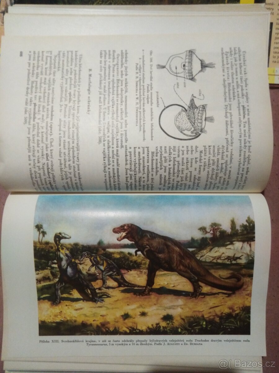 ZDENĚK BURIAN - 3 KNIHY, PRAVĚK, DINOSAUŘI - 4