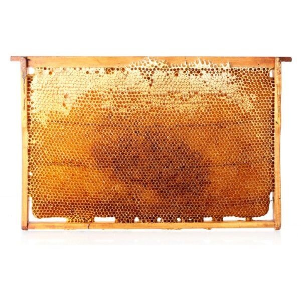 Různé druhy vysoce kvalitních, 100% přírodních plástev - 4