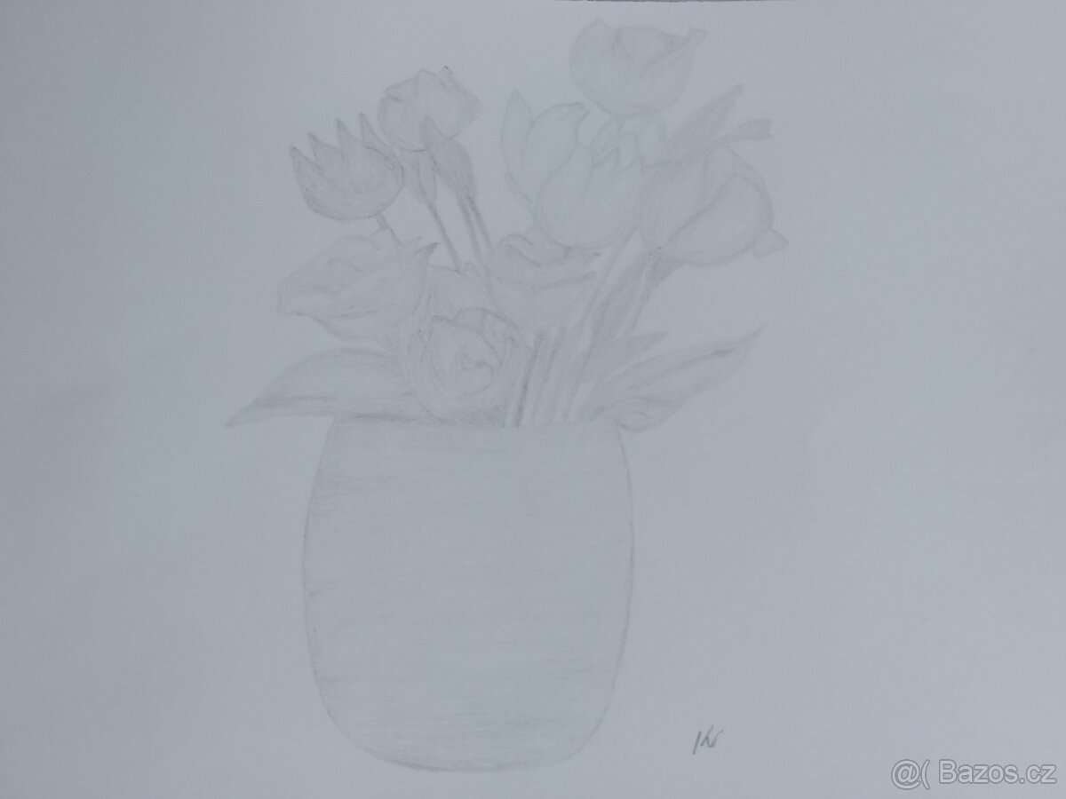 Obrázky obrazy kresby kreslení - 4