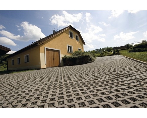 Zatravňovací dlažba 60x40x8 - 4