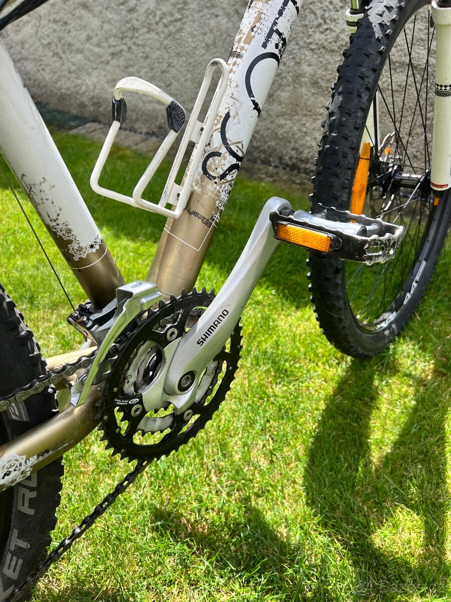 Scott Contessa 20 - 4