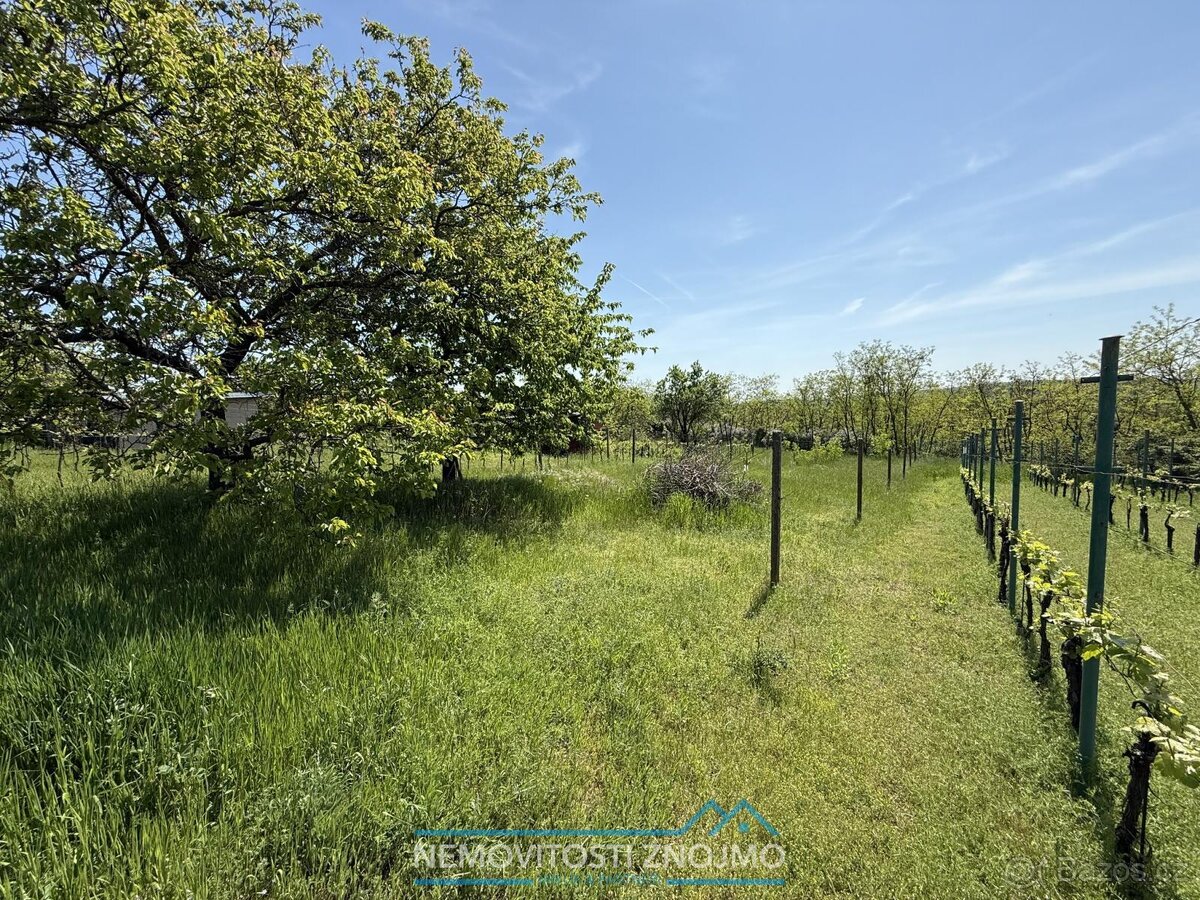 Prodej zahrady 650m2, k.ú. Dobšice u Znojma - 4