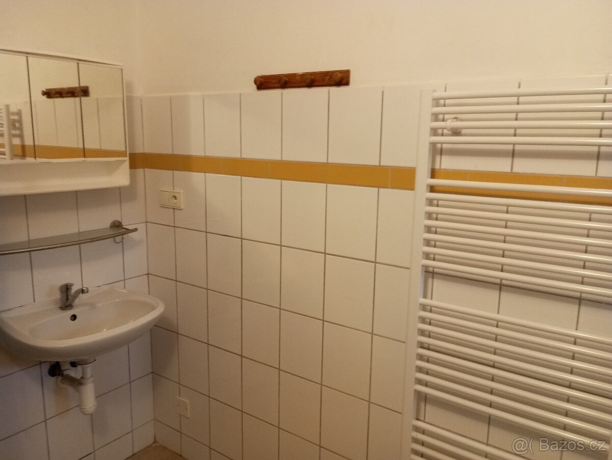 Atelier/garsonka - 4