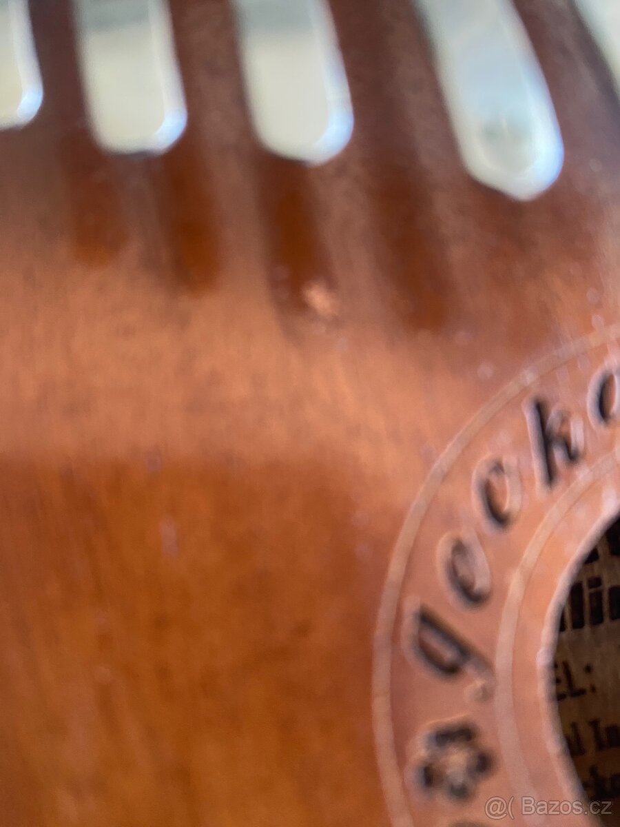 Kalimba Gecko - 4
