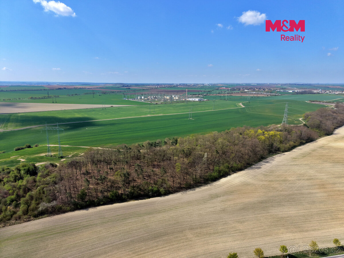 Prodej lesa, 4629 m², Mochov - 4