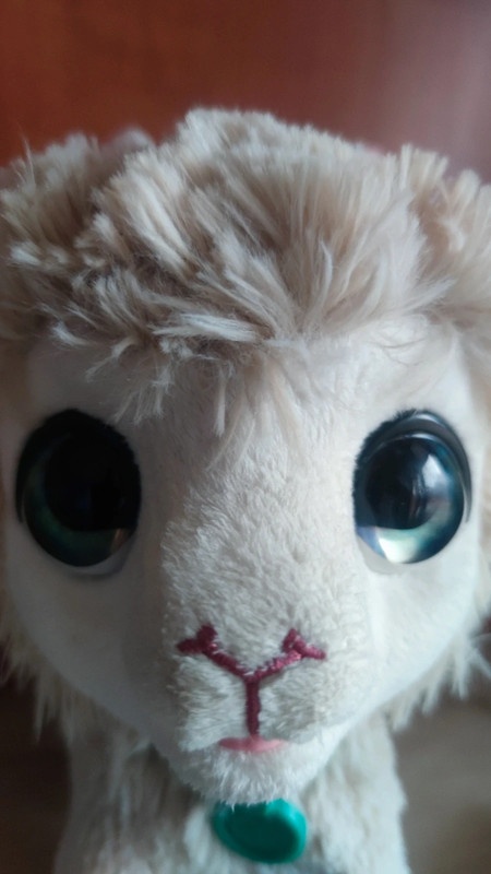 Interaktivní Lama na vodítku Fur Real Friends Hasbro - 4