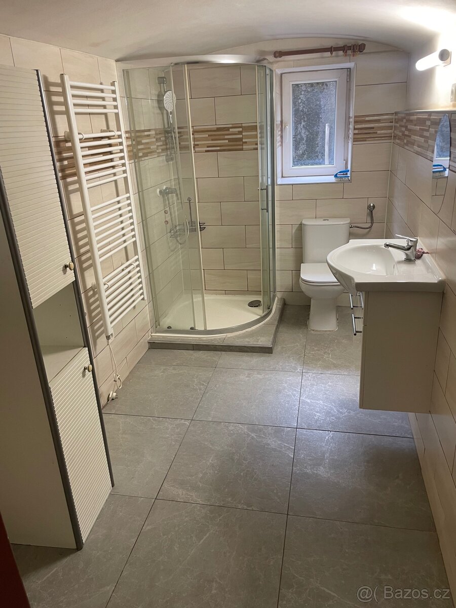 K pronájmu byt 2+1 v Pulpecnu - 4