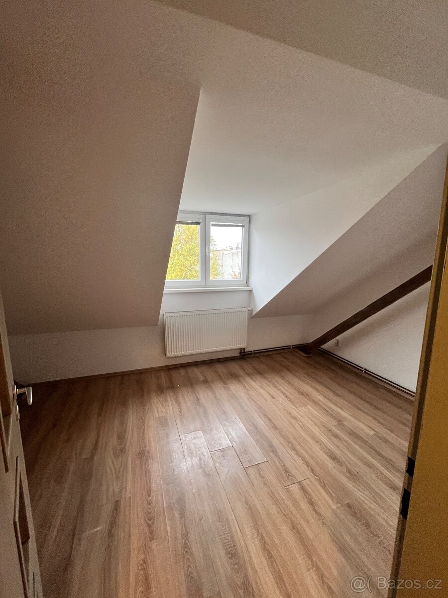Podkrovní byt 2kk - 4