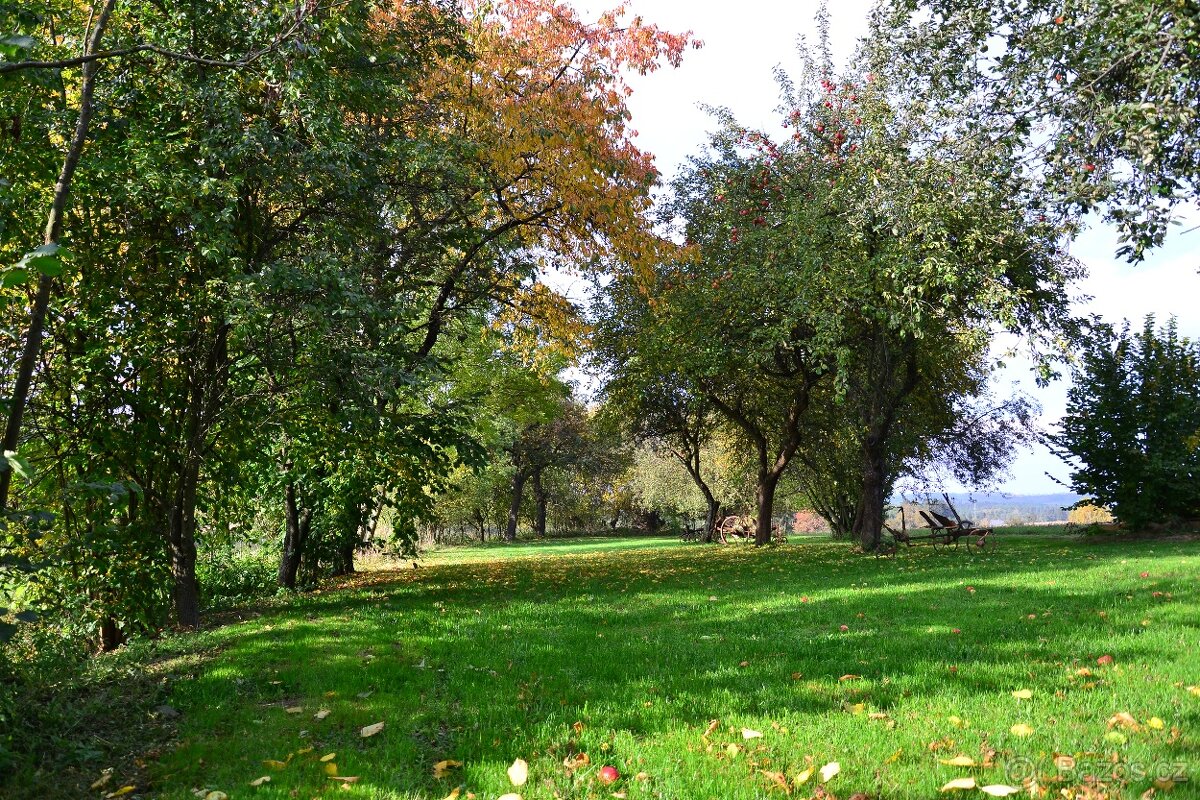 Pronájem stodoly/statku/svatba - 4