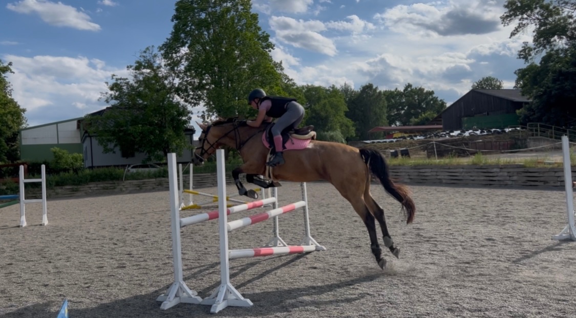 Klisna ČT - možnost výměny - 4