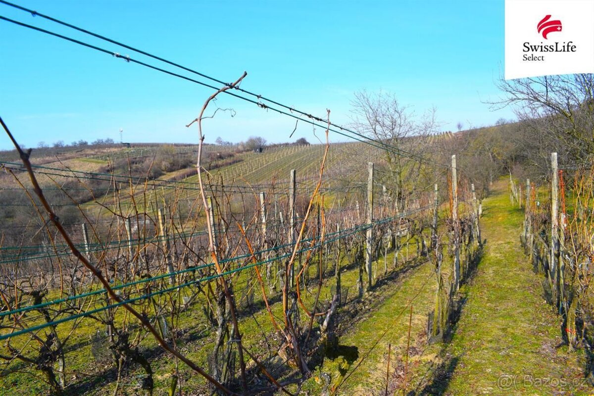 Prodej sadu, vinice 1748 m2, Bzenec - 4