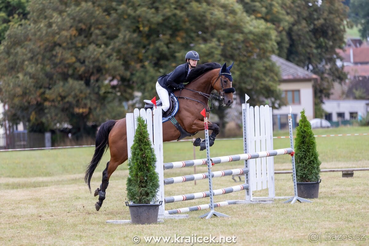 Klisna A1/1 vhodná do všestrannosti - 4