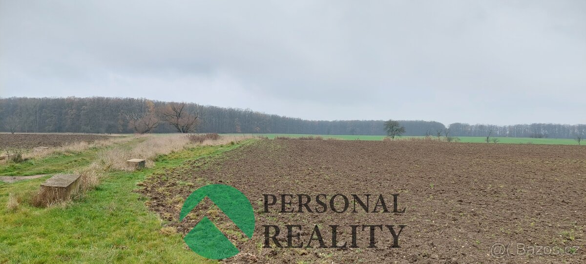 Prodej, Zemědělská půda, 3093 m² - Lodín, ev.č. 01970 - 4