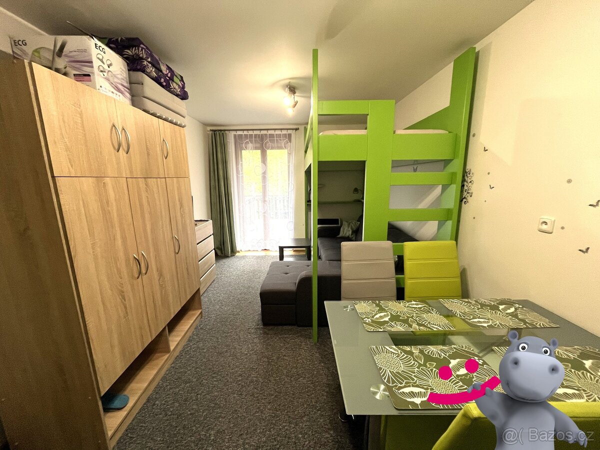 Prodej bytu 1kk + terasa, parkování, 40 m², Ostružná - Petří - 4