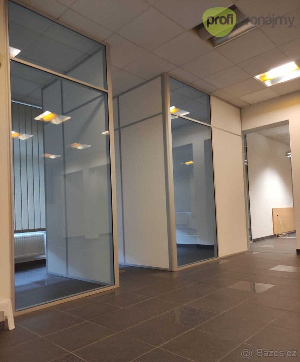 Pronájem kanceláře 171 m² - 4