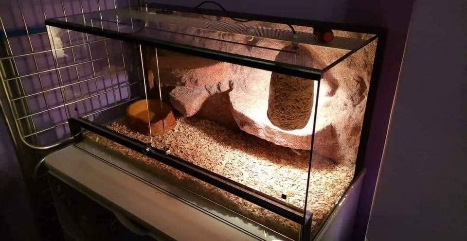 Skleněné terárium 100x40x40 cm s dekorativním pozadím - 4