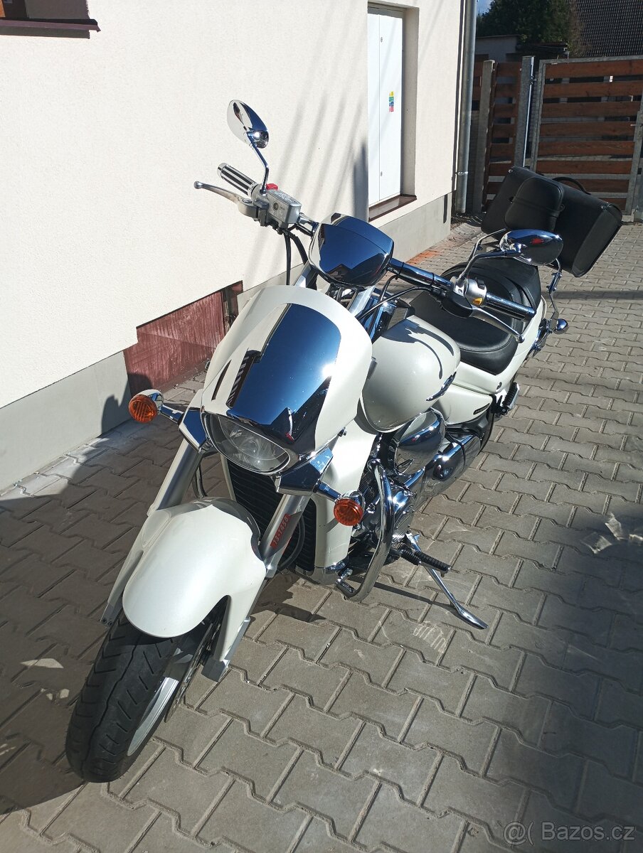 Suzuki intruder - 4