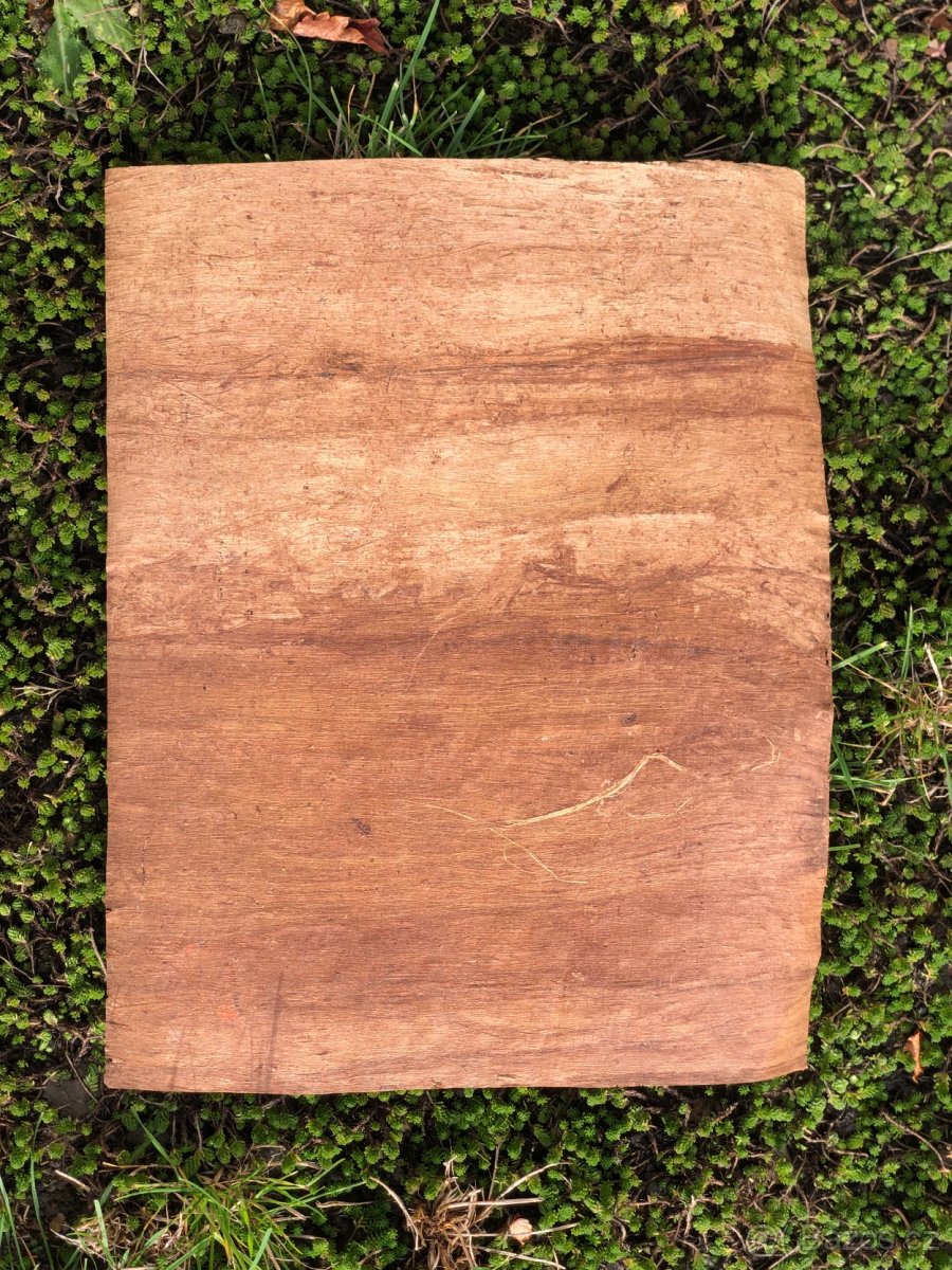 Papyrus - 4