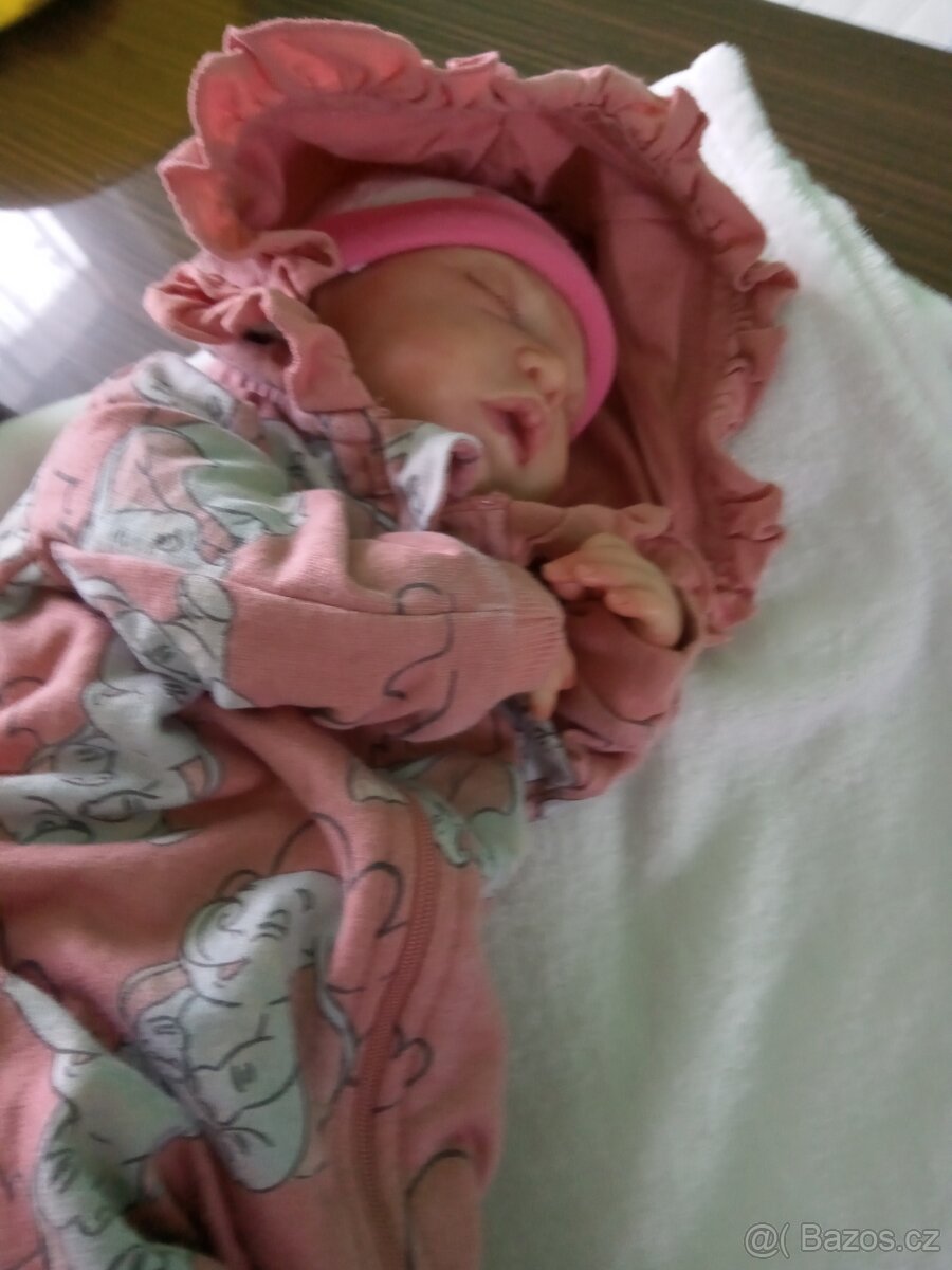 Prodám reborn panenku - 4