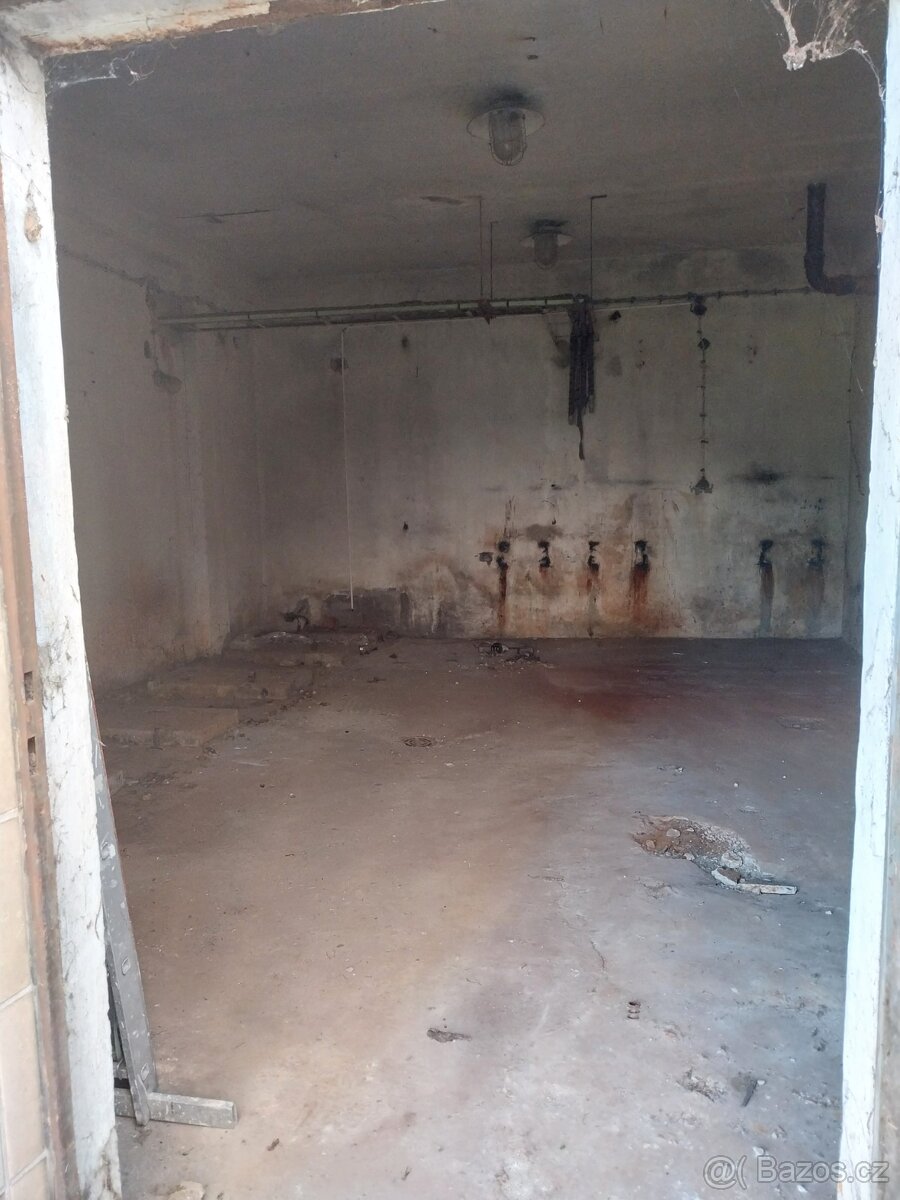 Pronajmu byvaly vymenik - 4