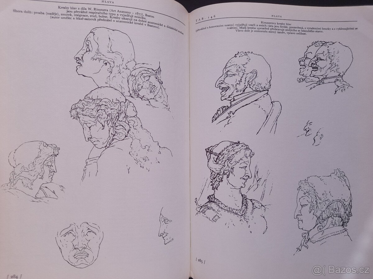 Anatomie pro výtvarníky - 4