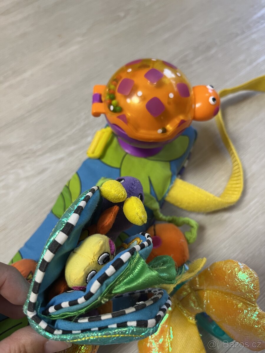 Hrazdička Sassy - 4