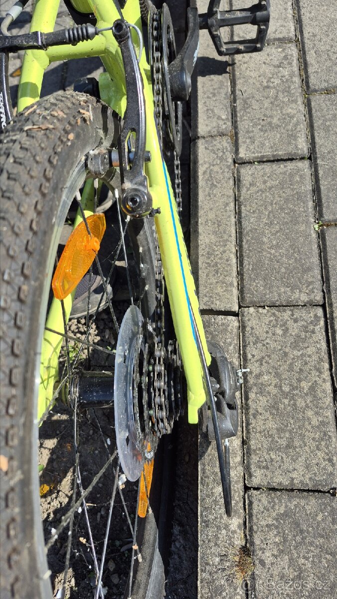 Detske kolo 20" Author Record - 4