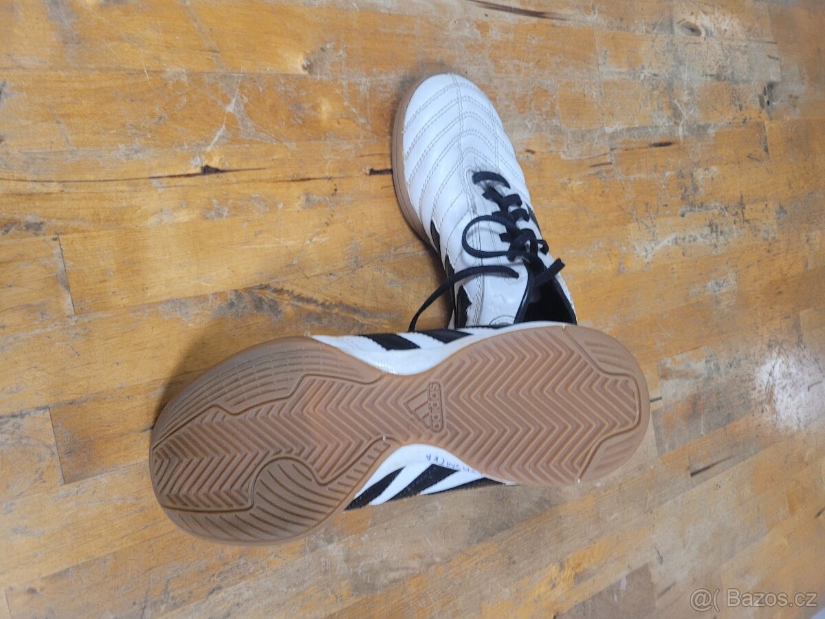 Prodám sálovky - 4