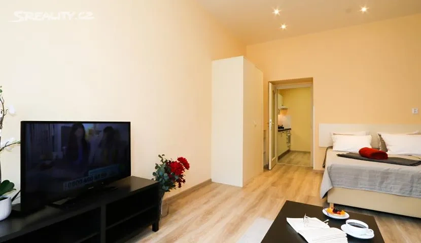 Pronájem bytu 1+1 40 m² Máchova, Praha - Vinohrady - 4