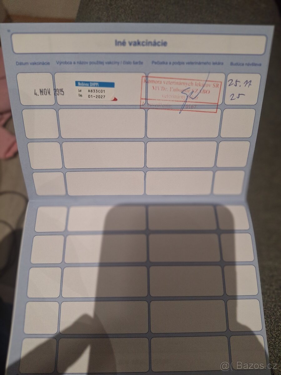 Prodam Sibiřského Huskyho - 4