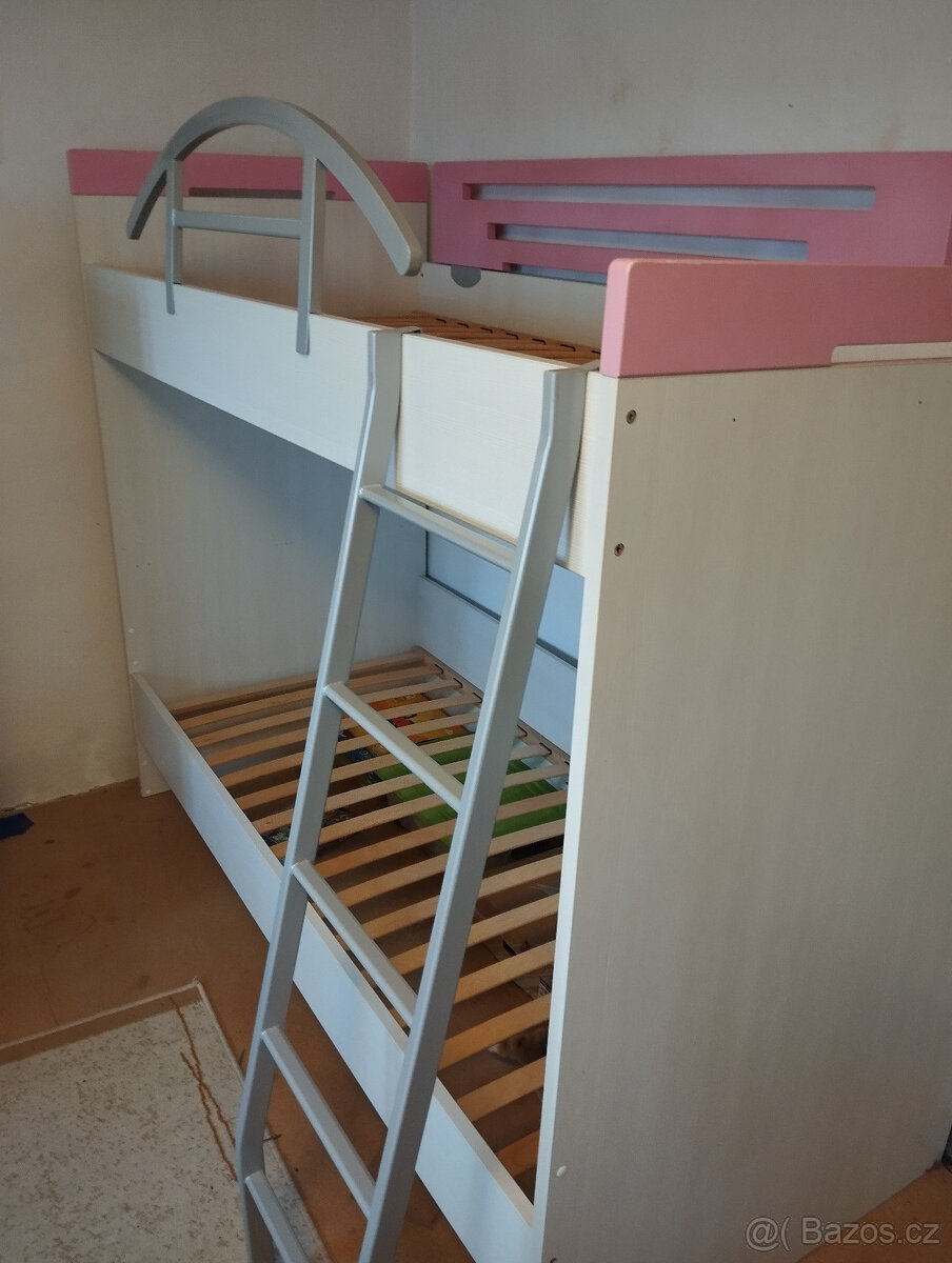 Palanda růžovobílá - 4