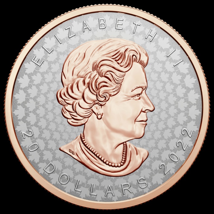 investiční stríbro - Canada maple leaf Super incuse - 4