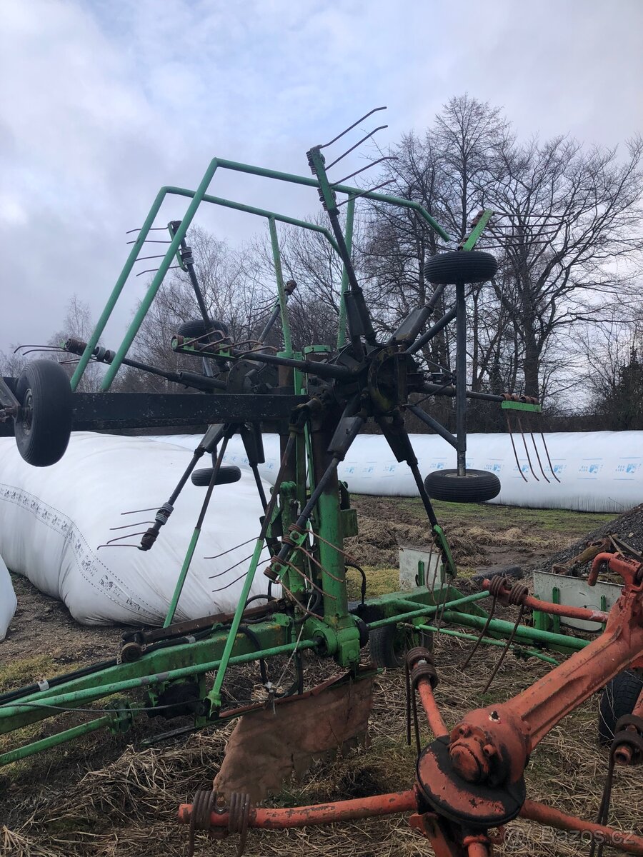 Shrnovač středový - 4