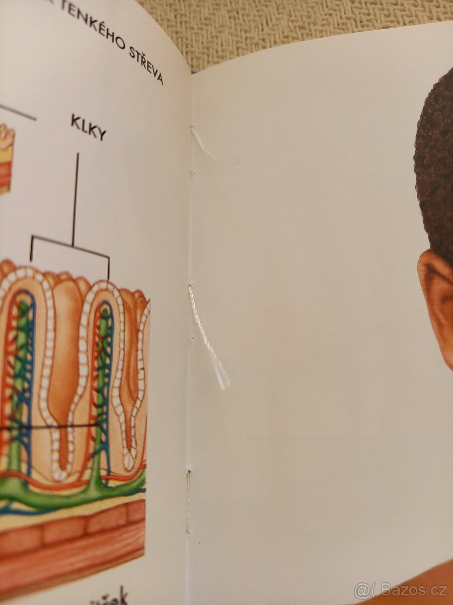 Člověk a jeho tělo - 4