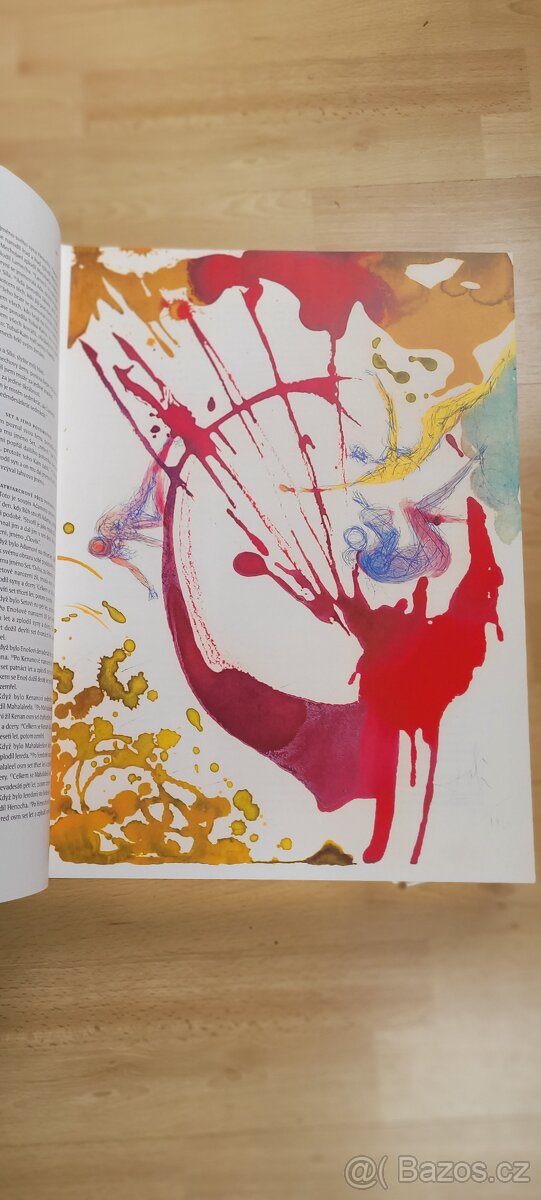 Kniha Bible Dalí - 4