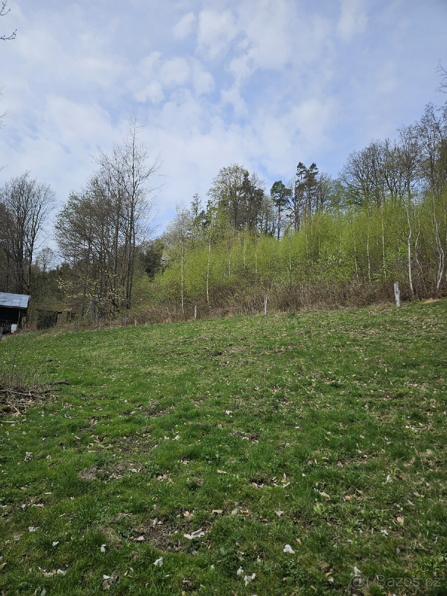 Lesní pozemek - 4